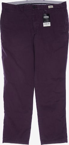 TOMMY HILFIGER Pants in 36 in Purple: front