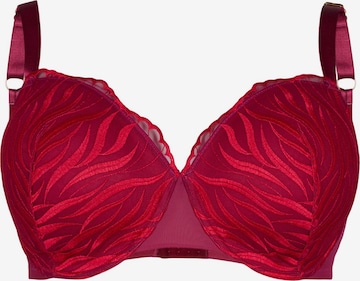 Reggiseno 'Lilo' di Devoted by Zizzi in rosa: frontale