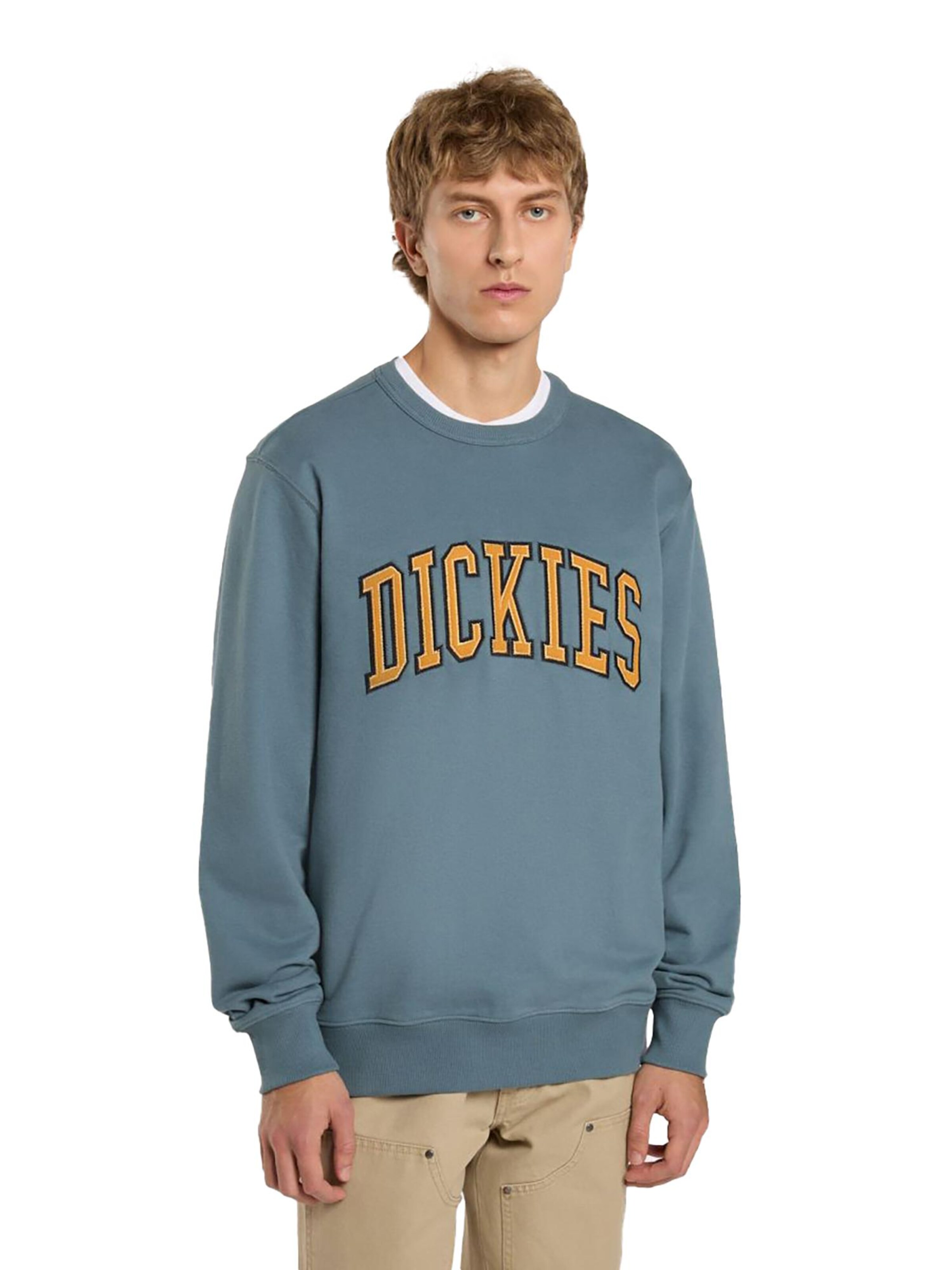 DICKIES Sweatshirt 'Aitkin'‌‌‌‌‌‌‌‌ in Blau: Vorderseite