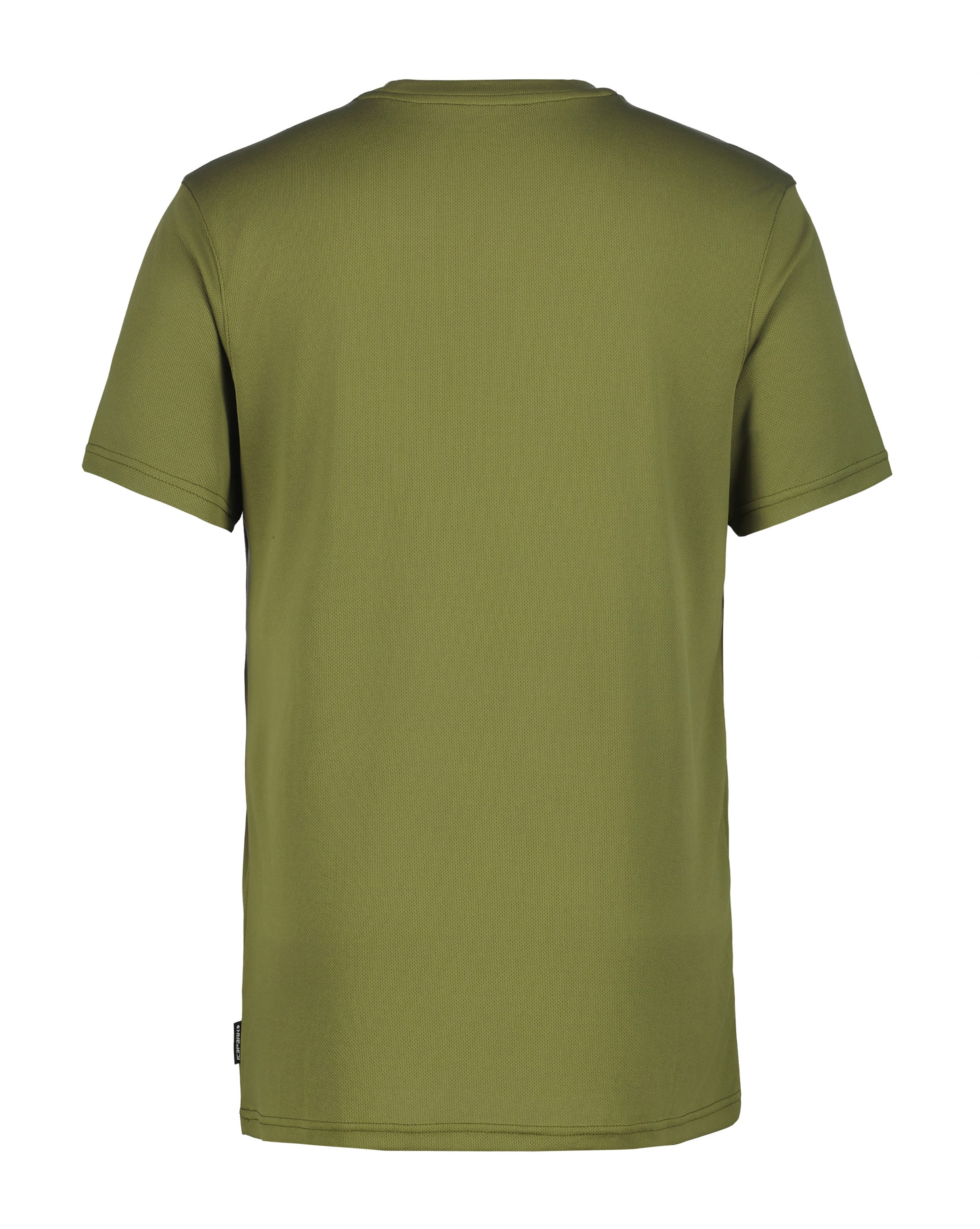 ICEPEAK Funktionsshirt 'Berne' in Grün