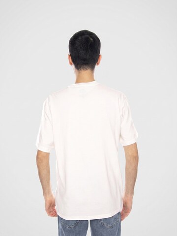 Maglietta 'Flag Tee Ss Egret -- Men's Crew Neck T-Shirt White Men's' di DICKIES in grigio