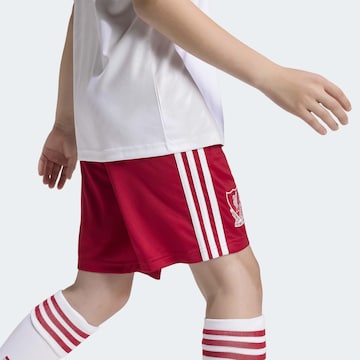 ADIDAS PERFORMANCEregular Sportske hlače 'Liverpool FC 26/27' - crvena boja