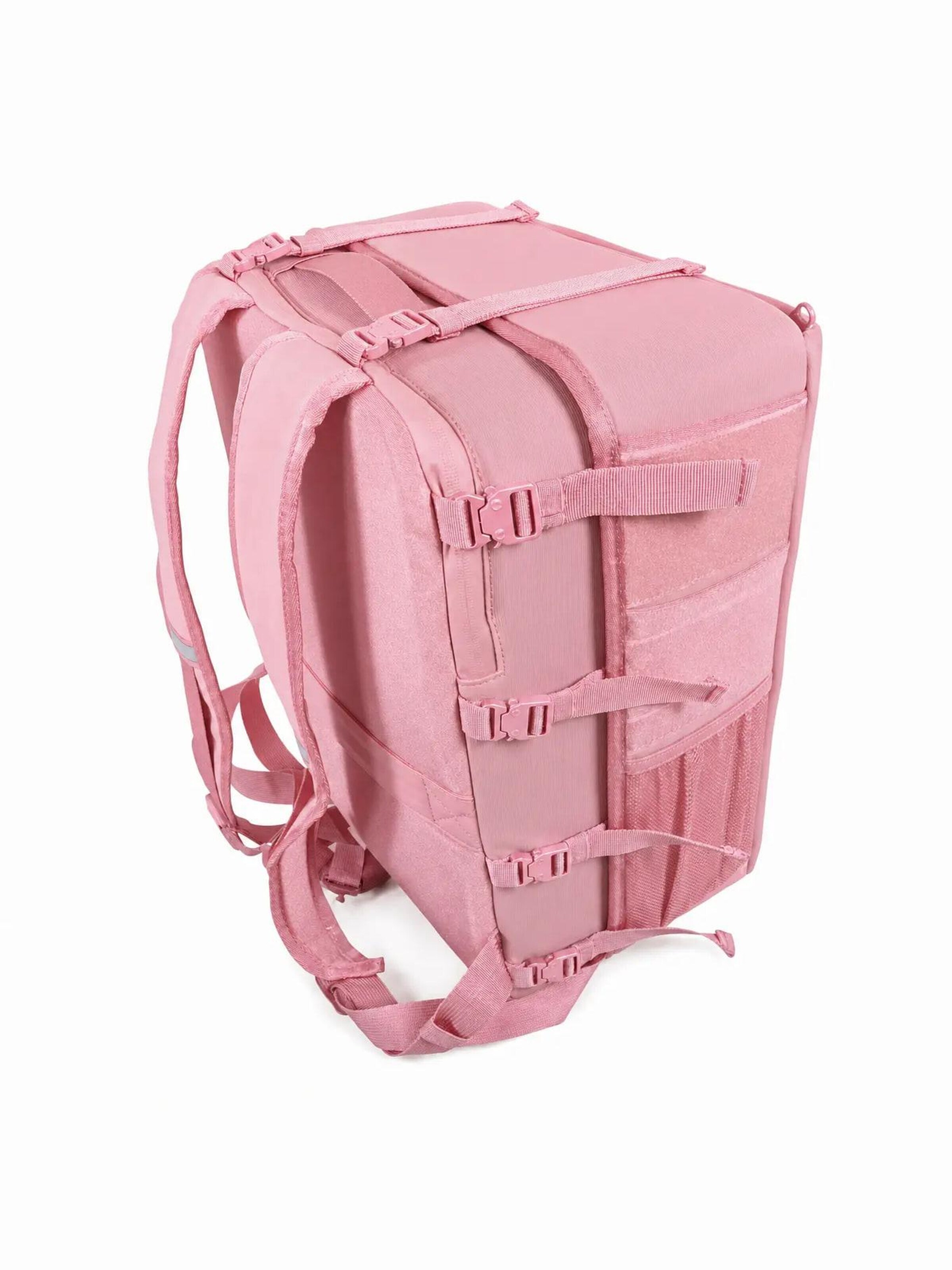 Ryan Wear Rugzak in Roze