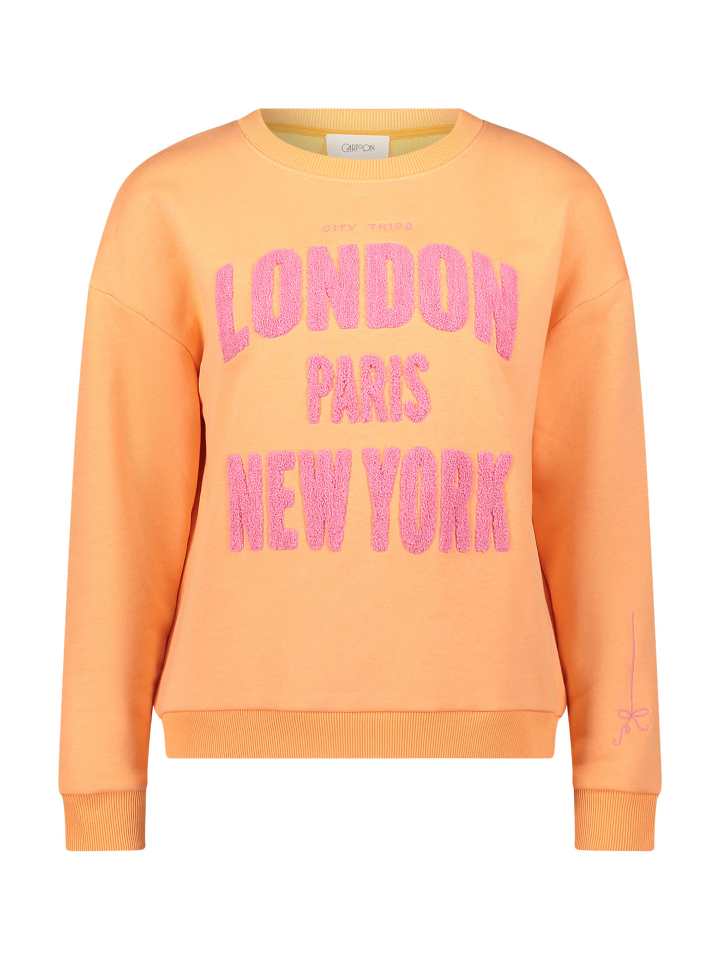 Cartoon Sweatshirt in Orange: Vorderseite