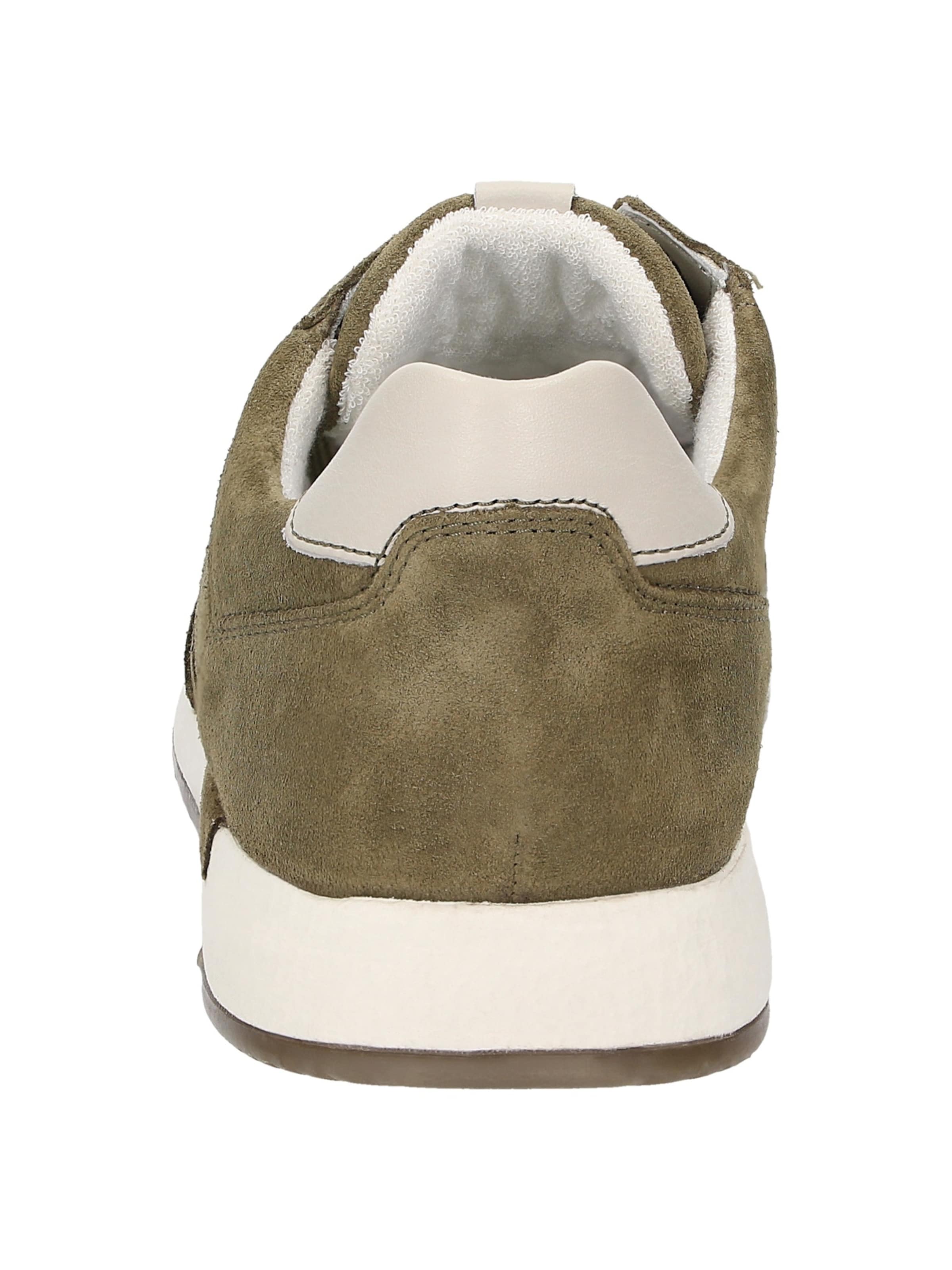 SIOUX Sneaker 'Rojaro-718' in Grün