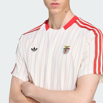 ADIDAS ORIGINALS Shirt 'Benfica Terrace Icons' in Wit