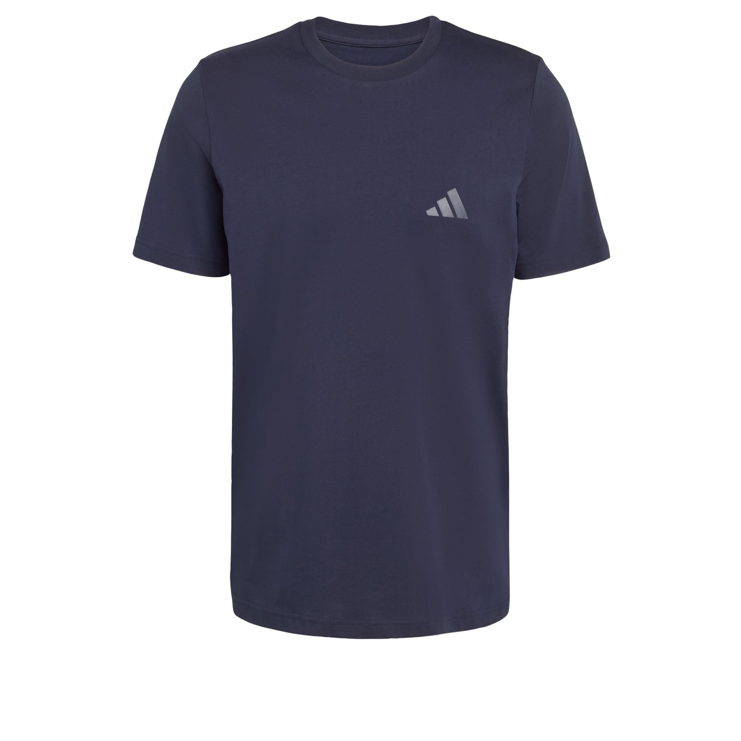 ADIDAS TERREX - Camiseta funcional 'Mountain' en azul: frente
