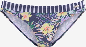 VENICE BEACH Bikinibroek in Blauw: voorkant