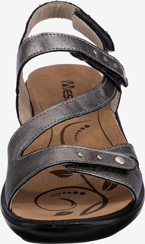 Westland by JOSEF SEIBEL Sandals 'Ibiza 70' in Grey