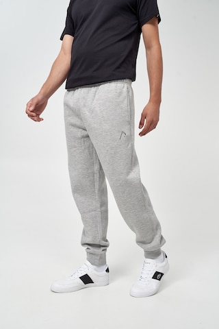 Mikon Tapered Trousers 'Sense' in Grey: front