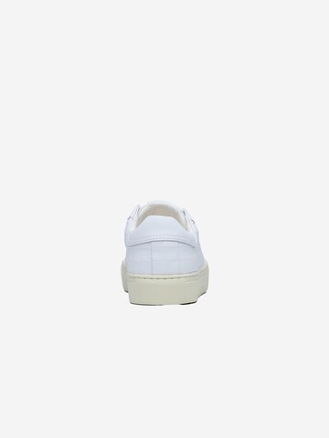 Hide&Jack Platform trainers 'Essence Cup' in White