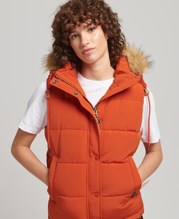 Gilet Superdry en orange : devant