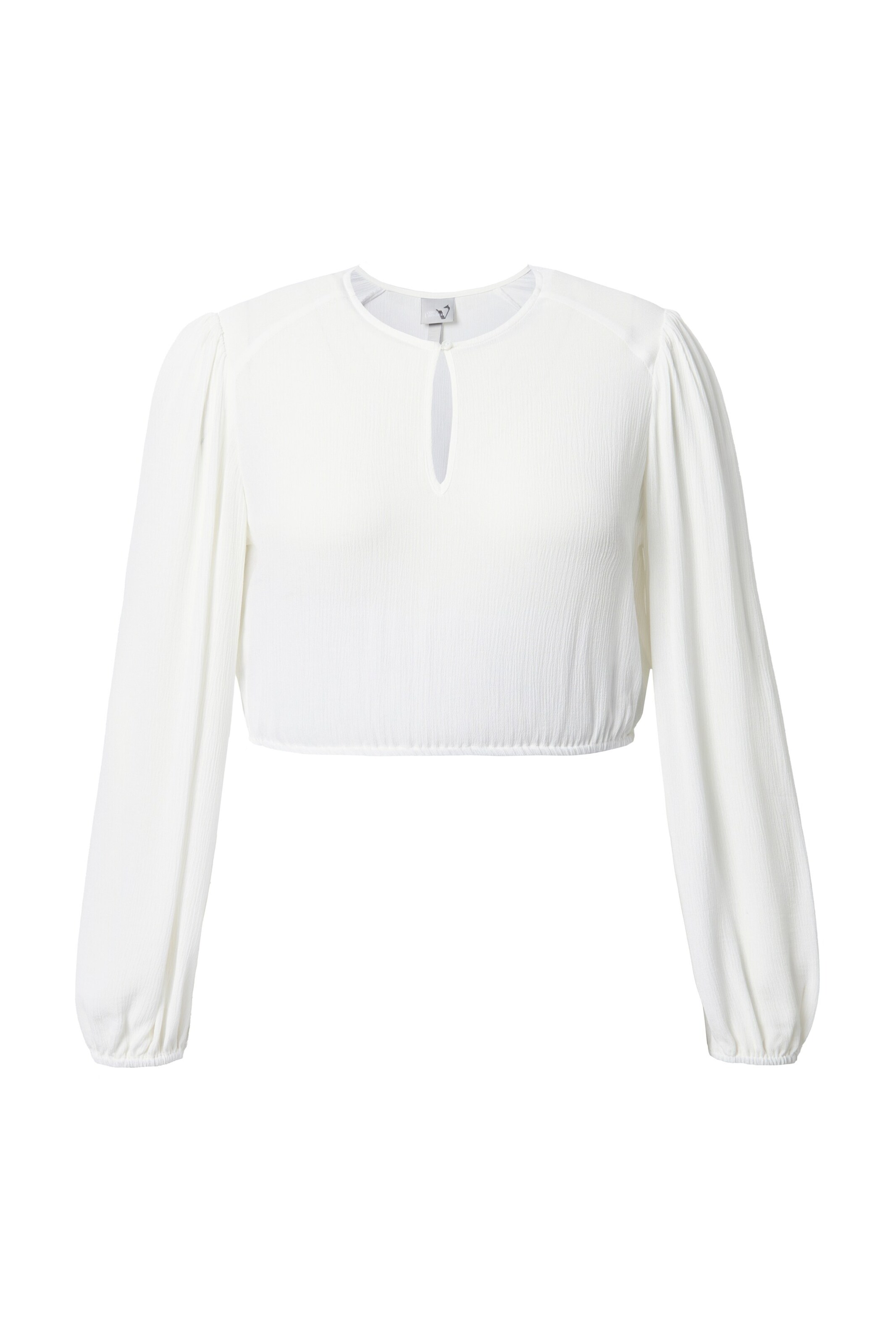 Ulla Popken Bluse in Weiß: Vorderseite