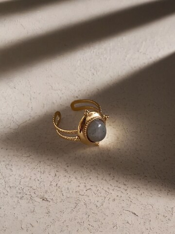 Nemomatheo Ring 'Aurora Filo' in Gold