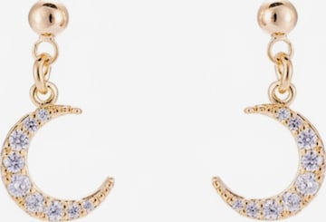 Cala Rose Ohrringe 'Tara' in Gold: Vorderseite