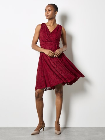 Apricot Floral Lace Fit And Flare Mini Dress ' ' in Rot