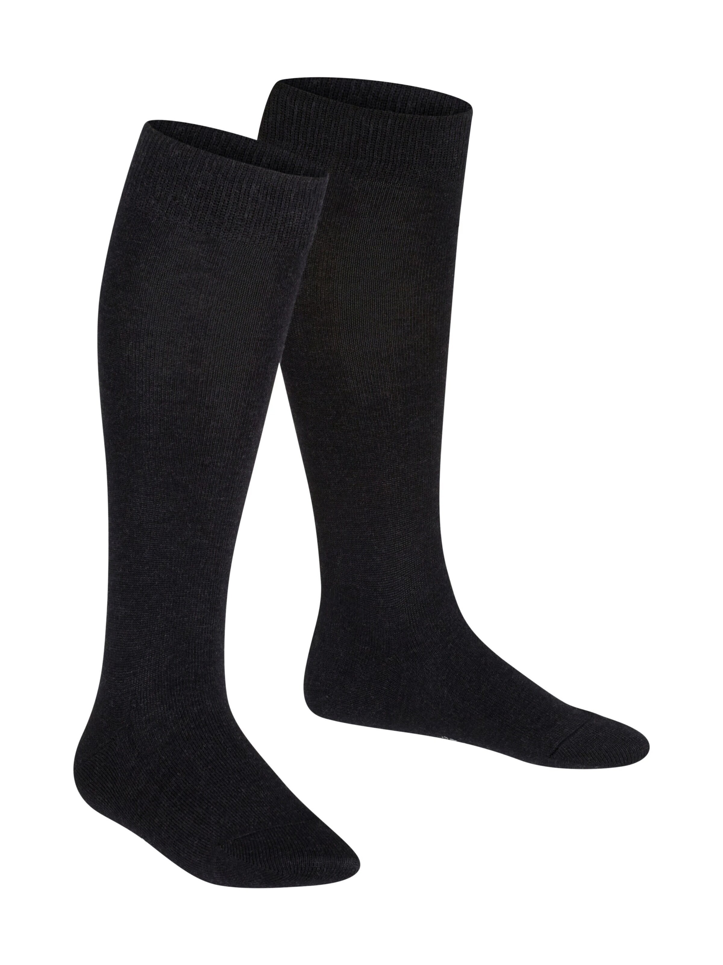 FALKE Socks 'Family' in Grey