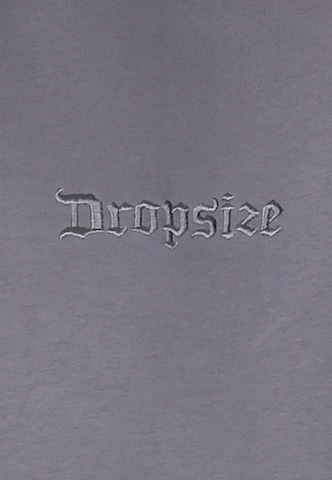 Dropsize Sweatshirt 'EMBO' in Grey