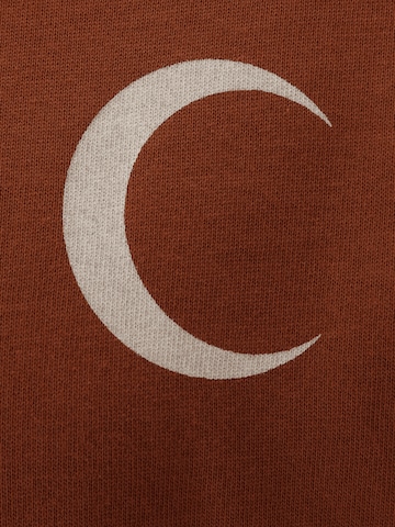 T-Shirt 'Anian' ABOUT YOU Limited en marron