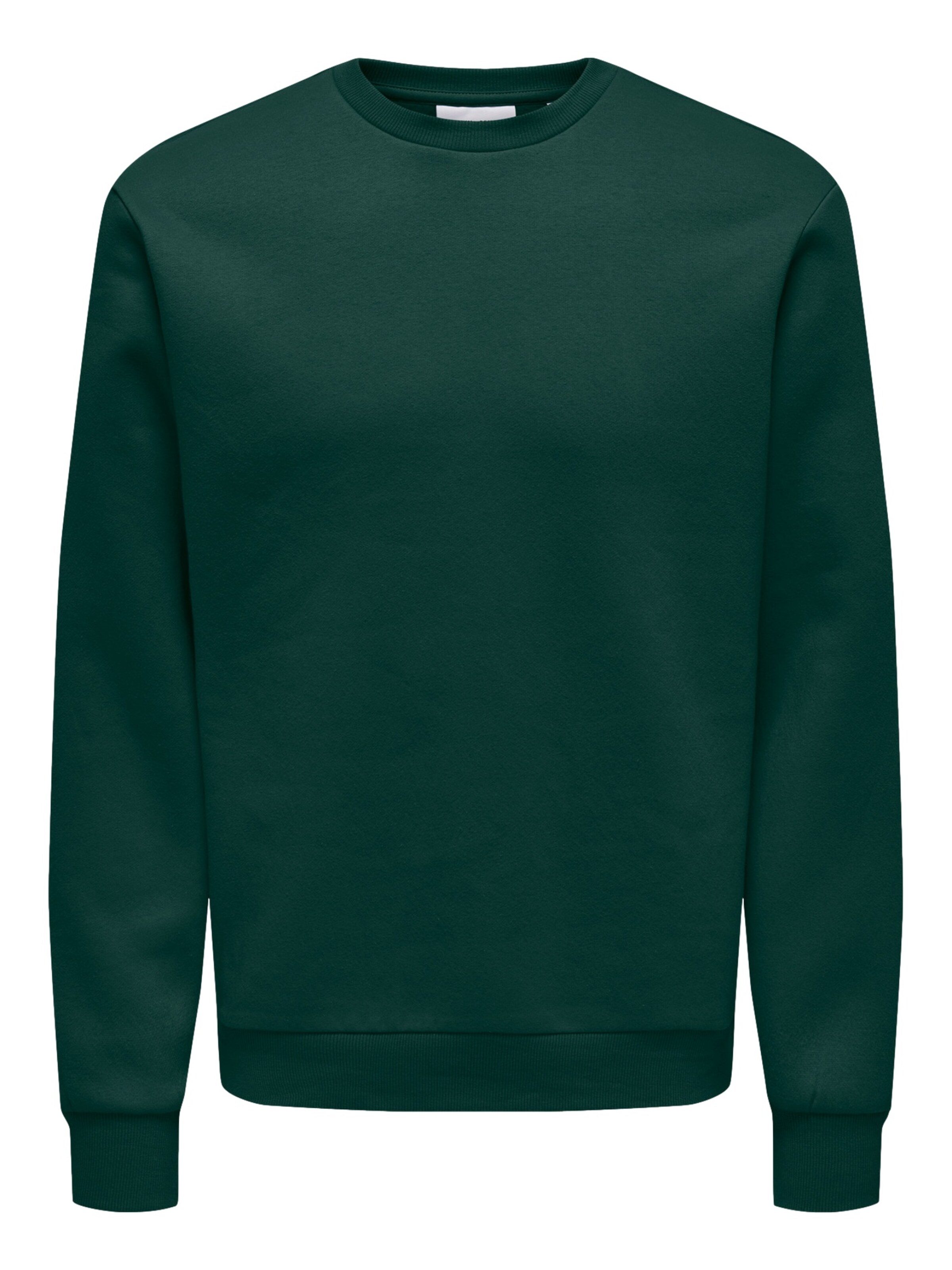 Only & Sons Regular Fit Sweatshirt 'ONSCERES' in Grün: Vorderseite