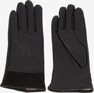 JOOP! Full Finger Gloves in Black: front