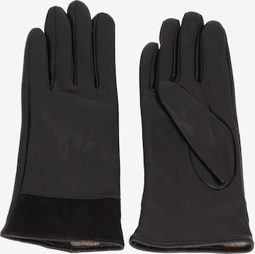 JOOP! Handschuhe in Schwarz: predná strana