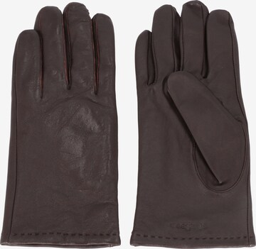 STRELLSON Full Finger Gloves in Brown: front