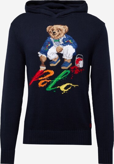 Polo Ralph Lauren Sweater in Navy / Brown / Light red / White, Item view