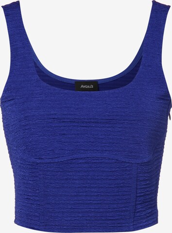 Aygill's Top in Blauw: voorkant