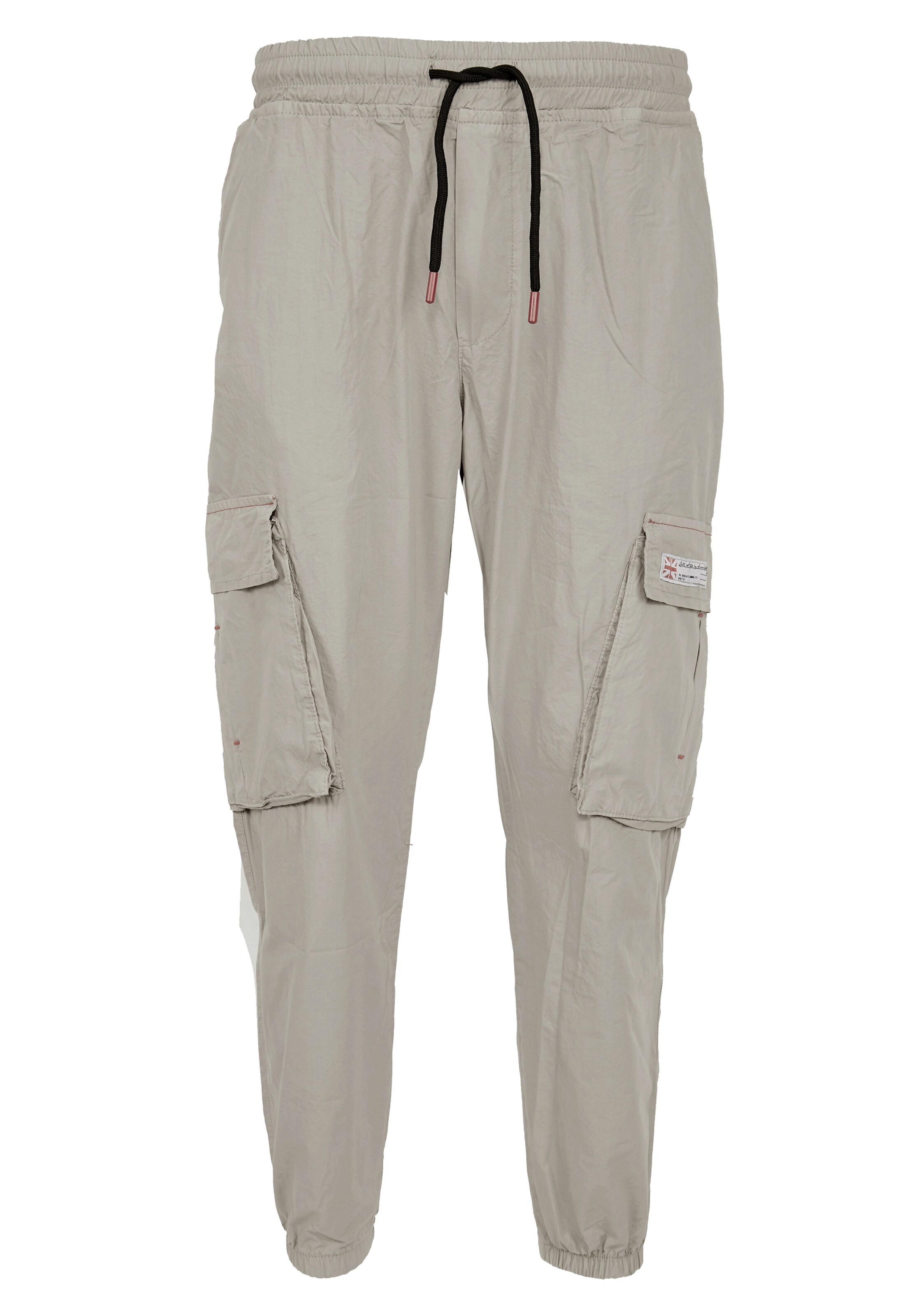 Regular Pantalon cargo Tom Barron en gris : devant