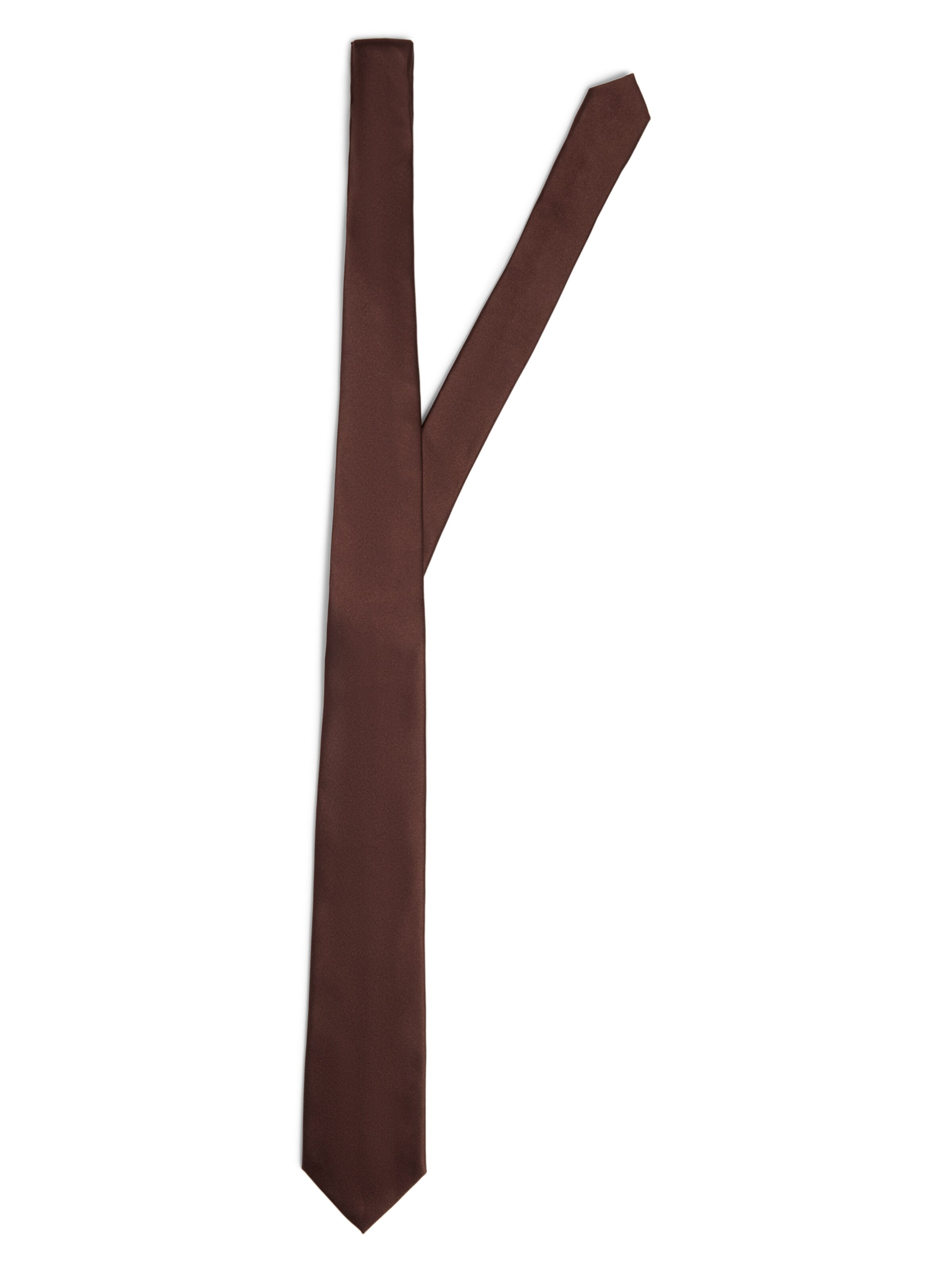 Finshley & Harding Tie in Brown: front