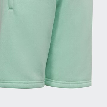 ADIDAS ORIGINALS Regular Shorts 'Adicolor' in Grün