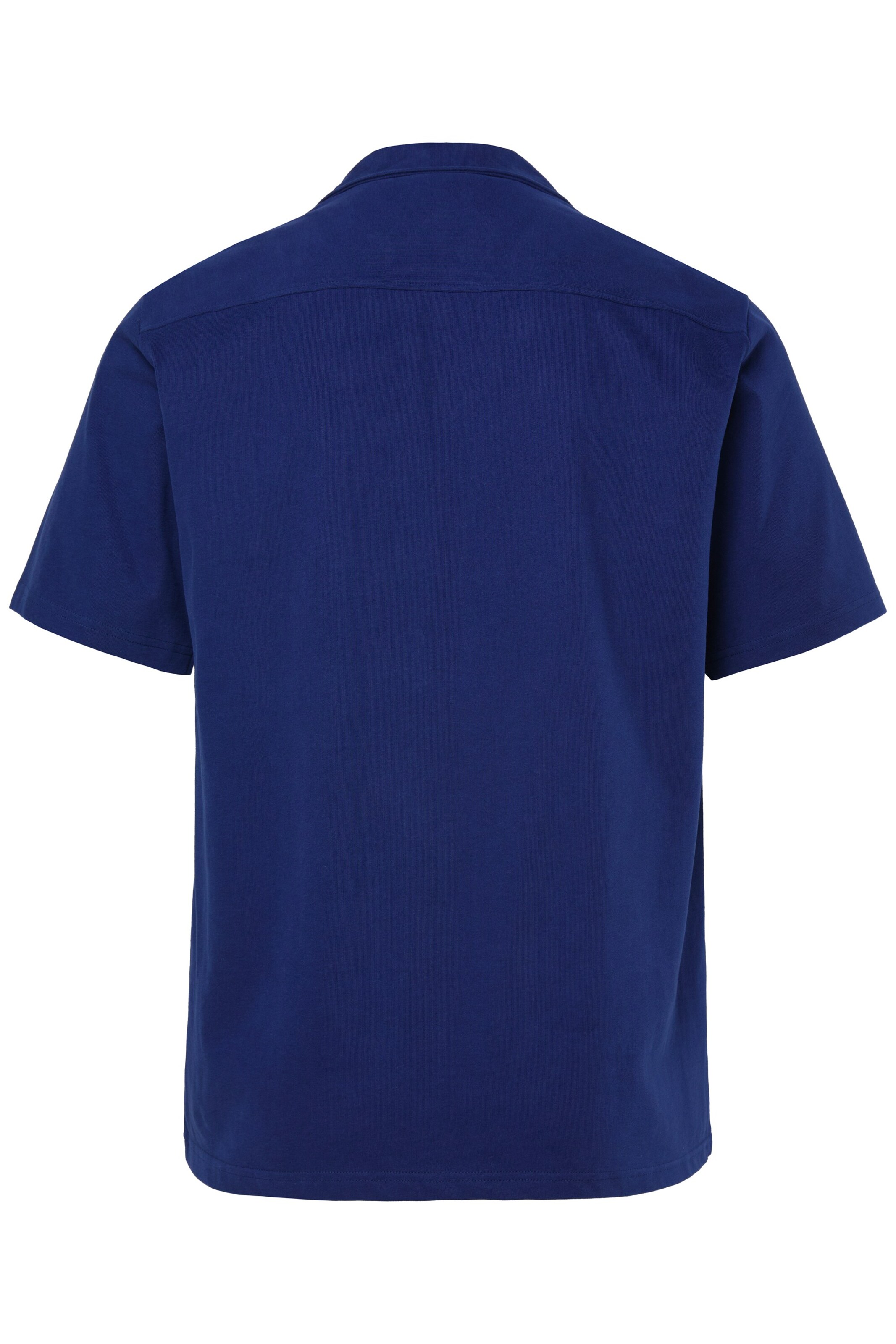 Men Plus Regular Fit Shirt in Blau