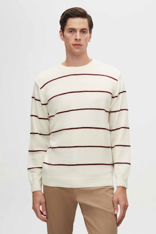D’S Damat Pullover in Beige: Vorderseite