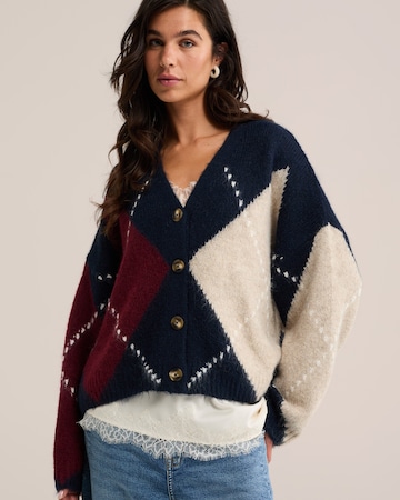 Cardigan dimensiuni mari de la WE Fashion pe albastru: față