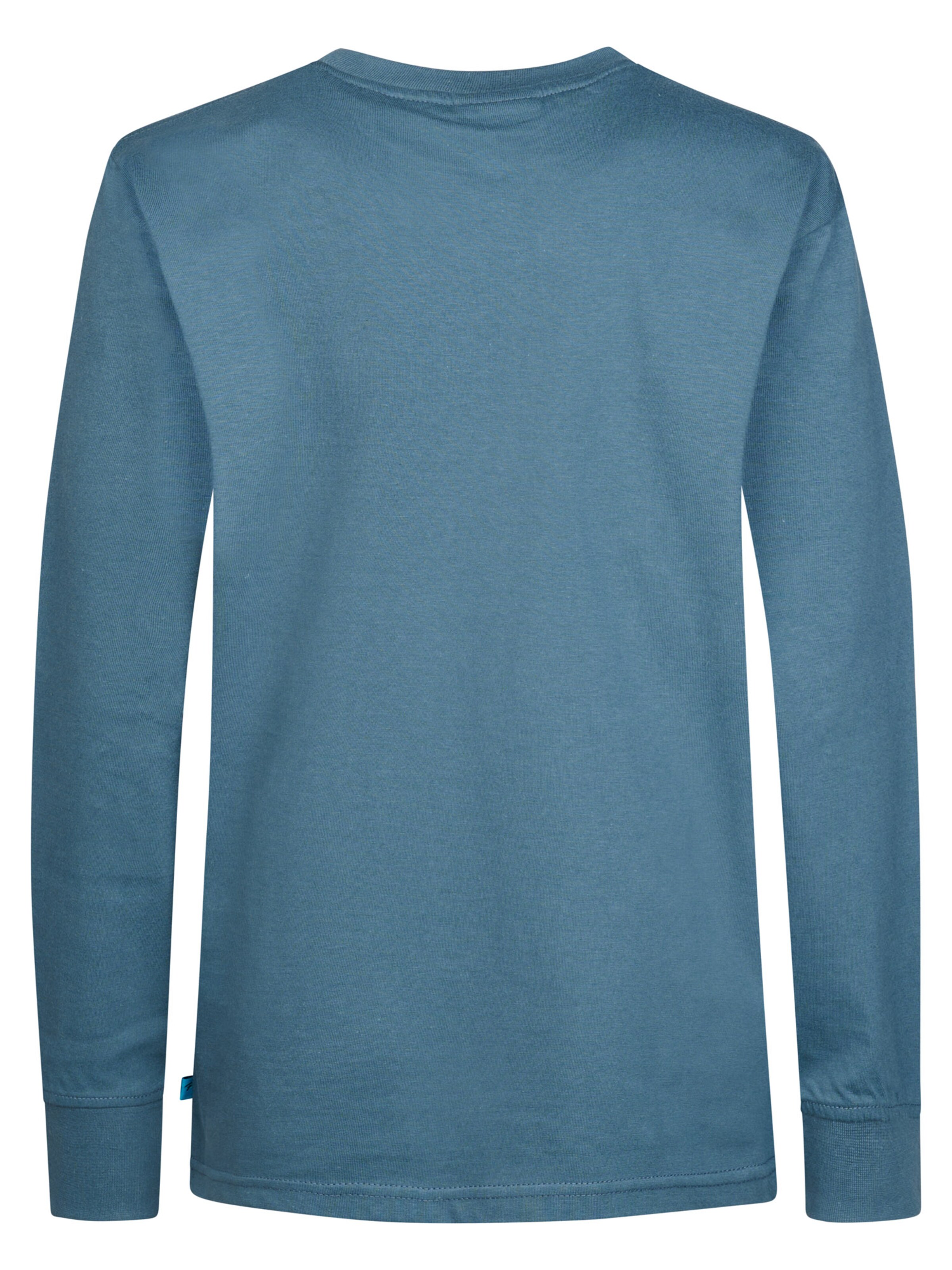 Petrol Industries Shirt in Blauw