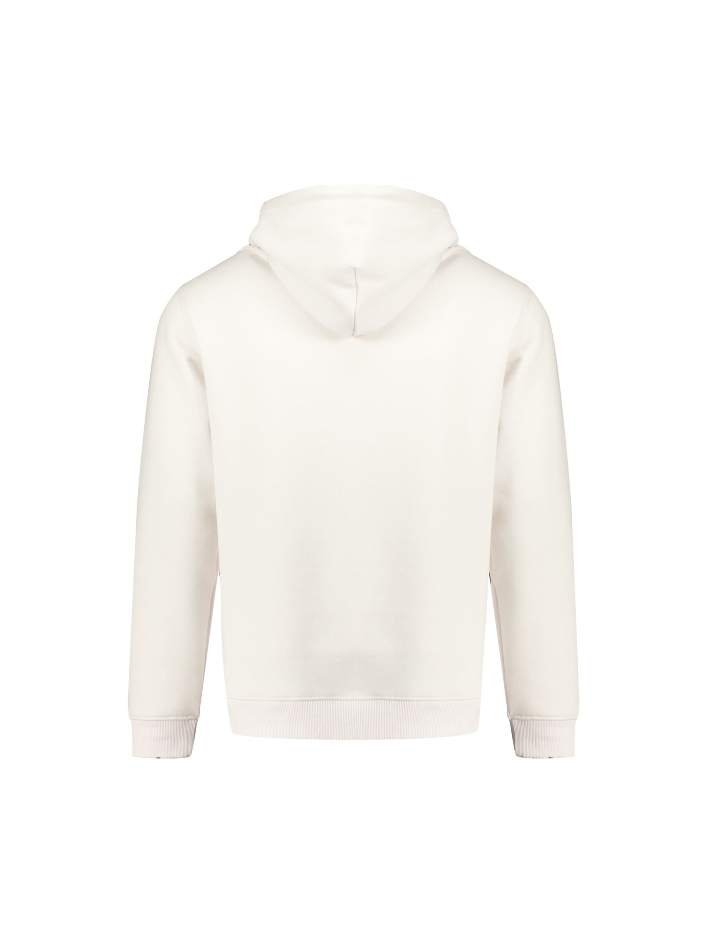 Deeluxe Sweatshirt 'Refresh' in Wit