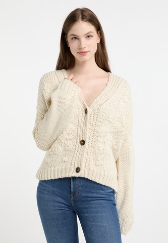 DreiMaster Vintage Knit Cardigan 'Imane' in Beige: front