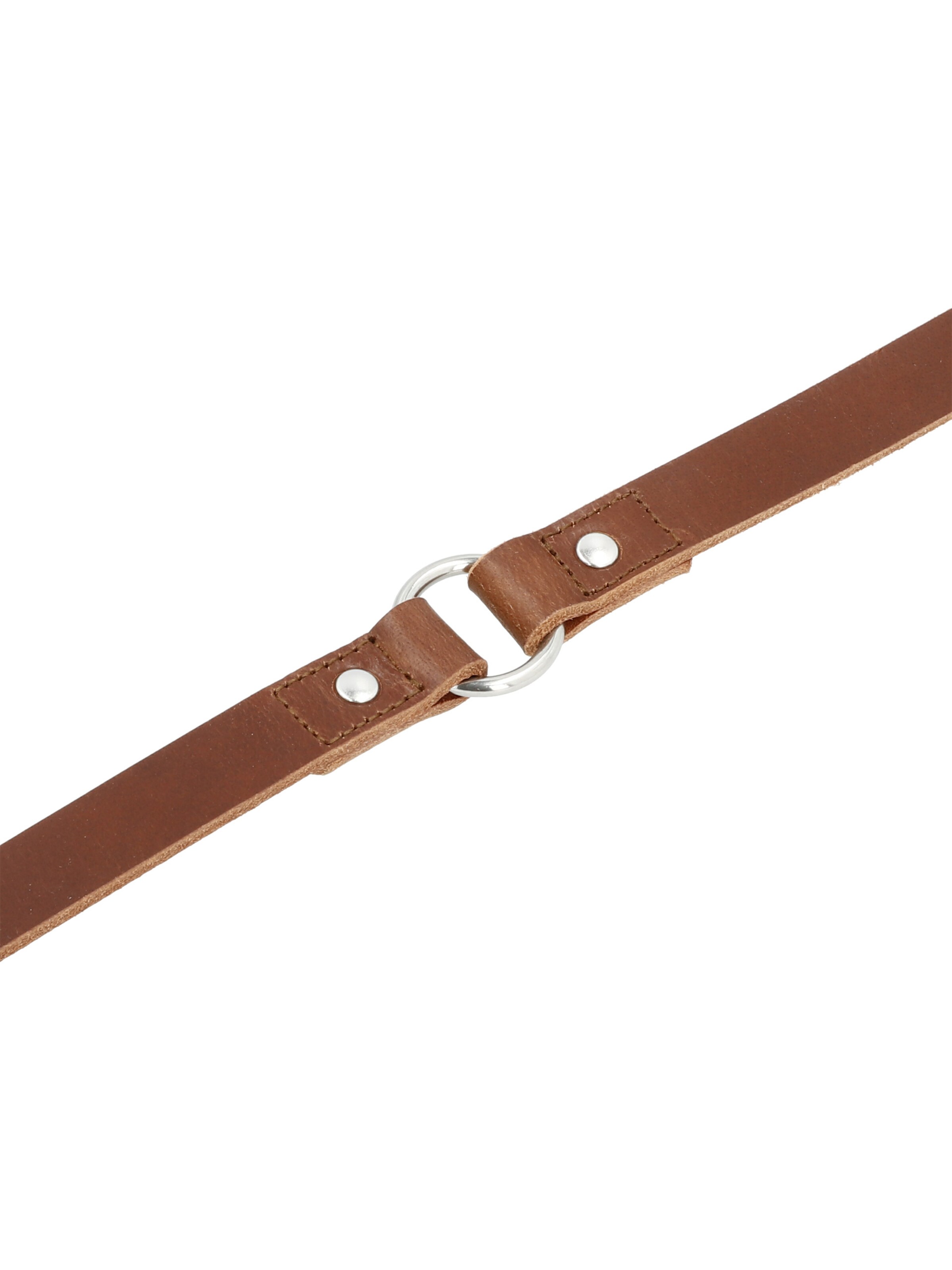 Accessoires pour animaux 'Strolch' Picard en marron