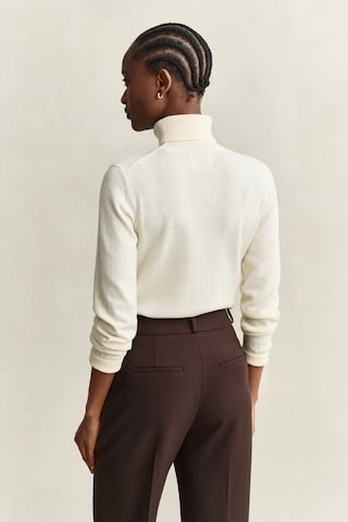 GANT Pullover in Beige