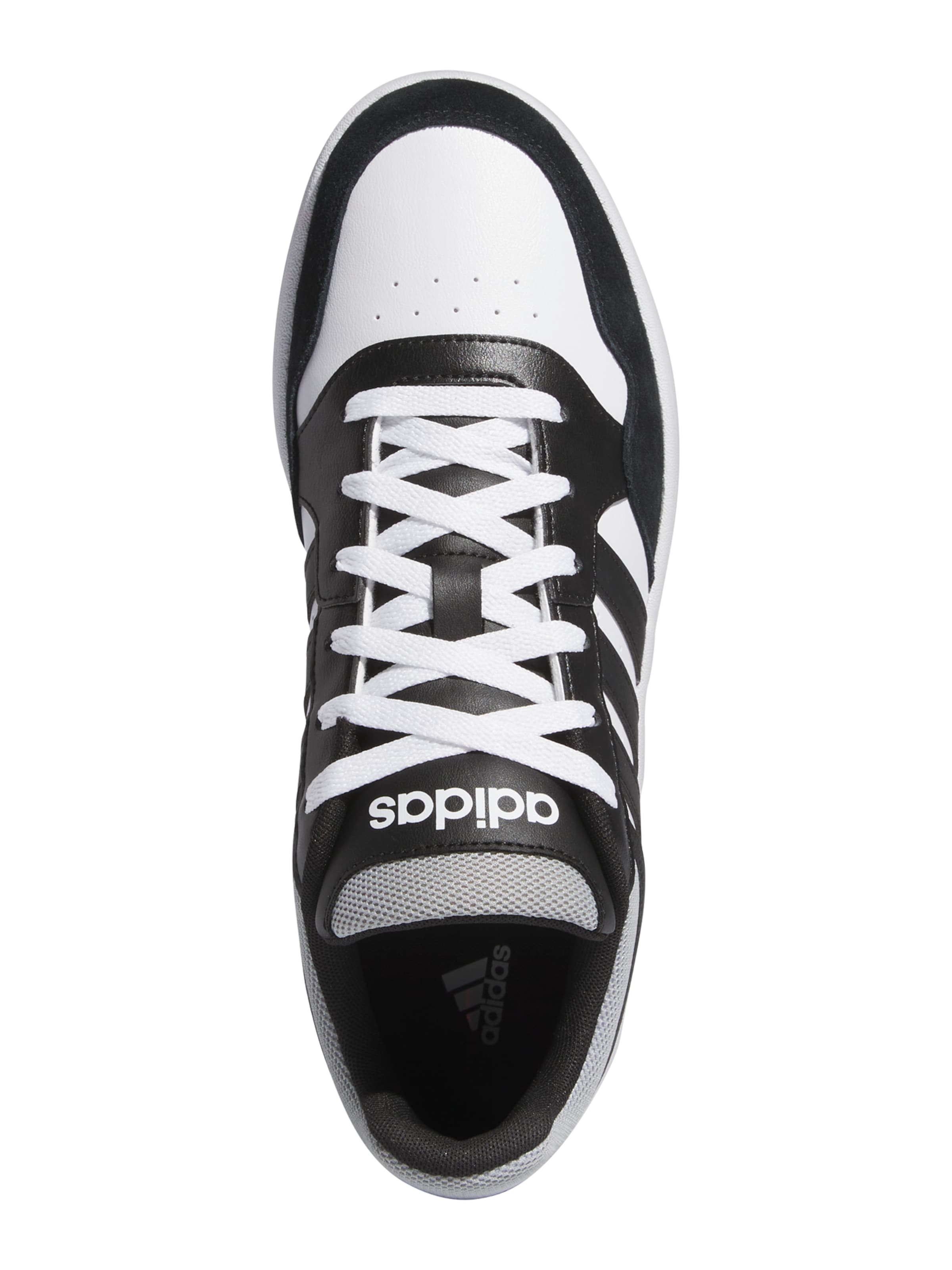 ADIDAS SPORTSWEAR Σνίκερ χαμηλό 'Hoops 3.0' σε λευκό: κορυφή