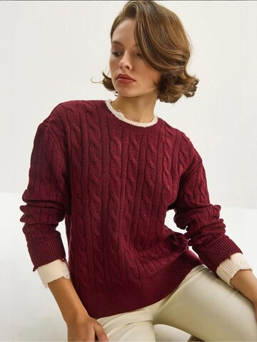 Bianco Lucci Pullover in Rot: Vorderseite