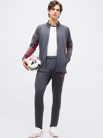 PUMA Trainingsanzug 'IndividualLIGA' in Grau