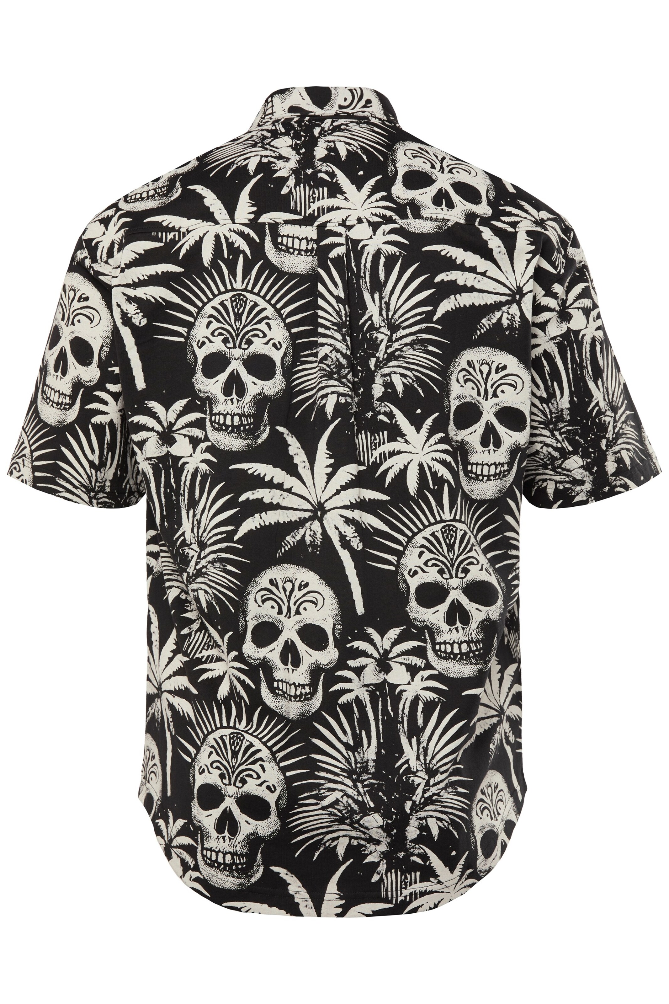 JP1880 Regular Fit Hemd in Schwarz