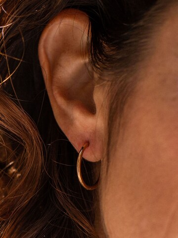 Boucles d'oreilles 'Sleeky' PURELEI en or : devant