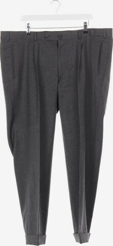 Hiltl Pants in 29 in Grey: front