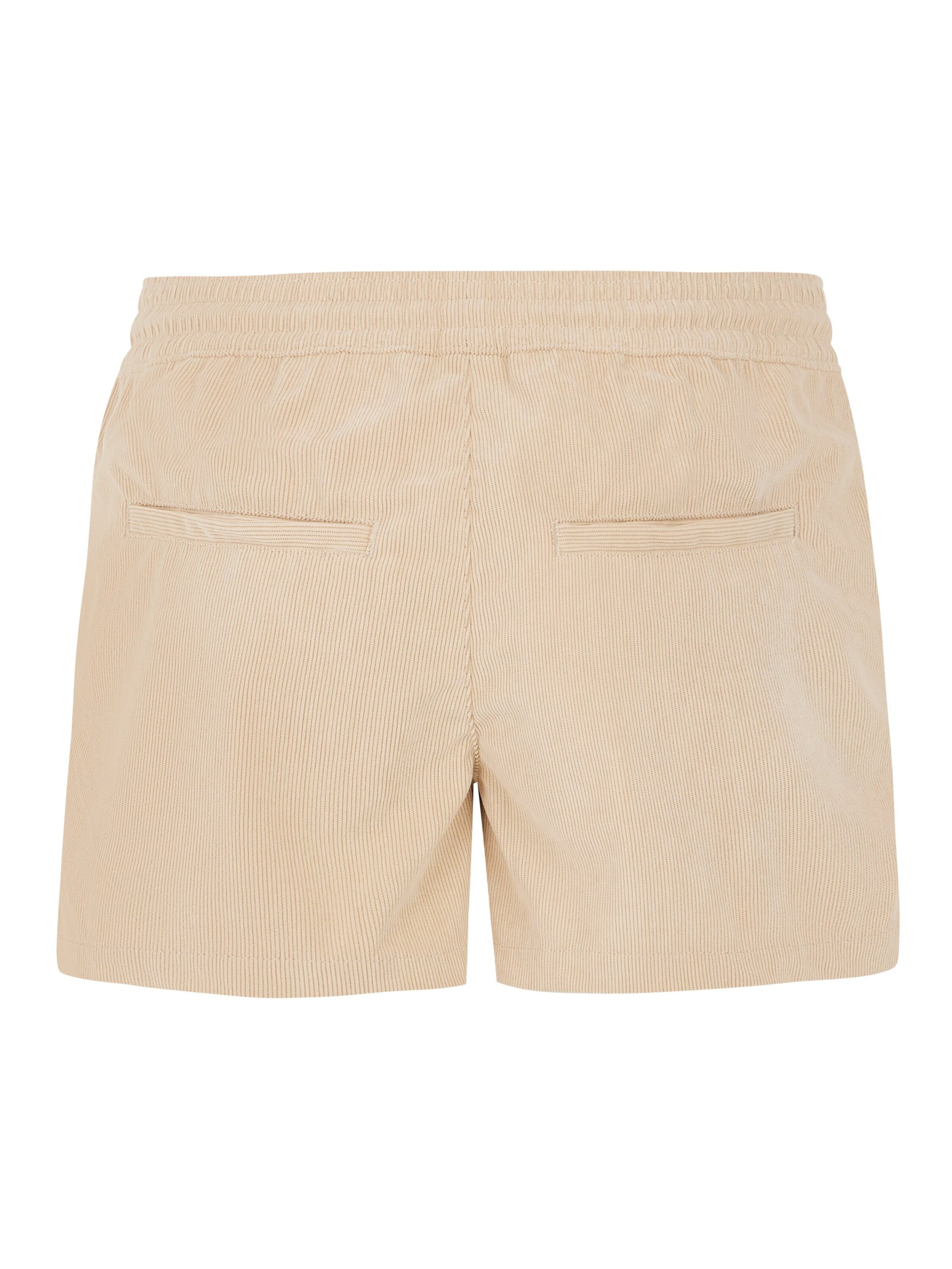 PROTEST Regular Pants 'PRTANOA' in Brown