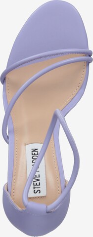 STEVE MADDEN Sandals in Purple