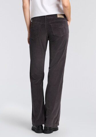 Herrlicher Flared Jeans in Braun