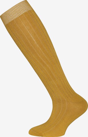 EWERS Regular Socks in Yellow